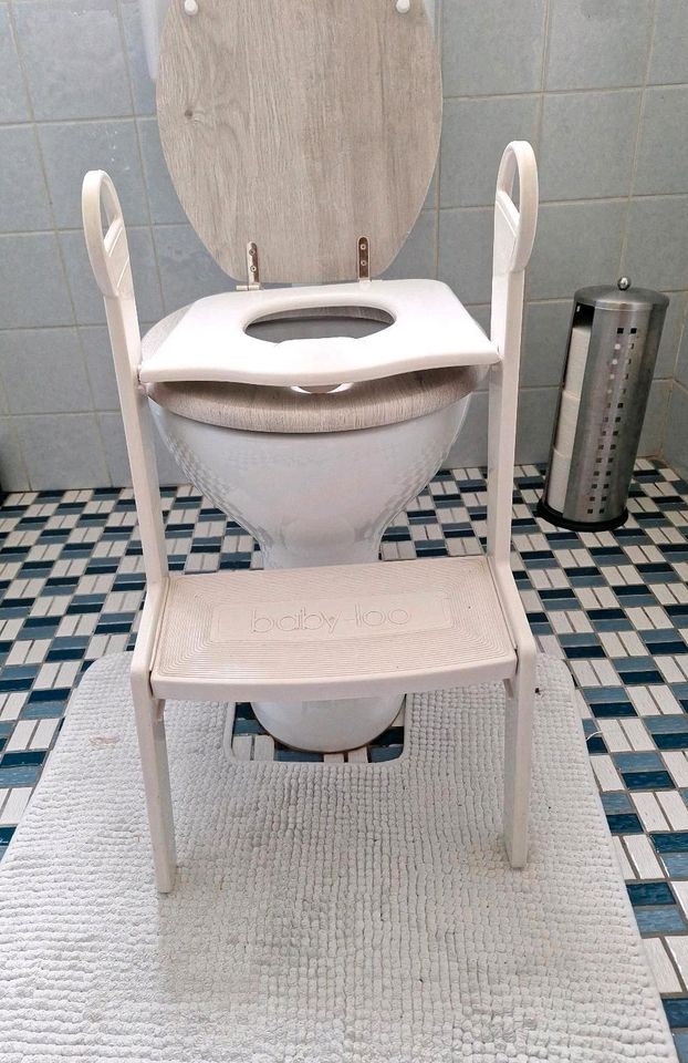 Babylo Toilet Trainer mit Treppen in Eichstätt