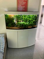 Aquarium 260Liter Bayern - Memmingen Vorschau