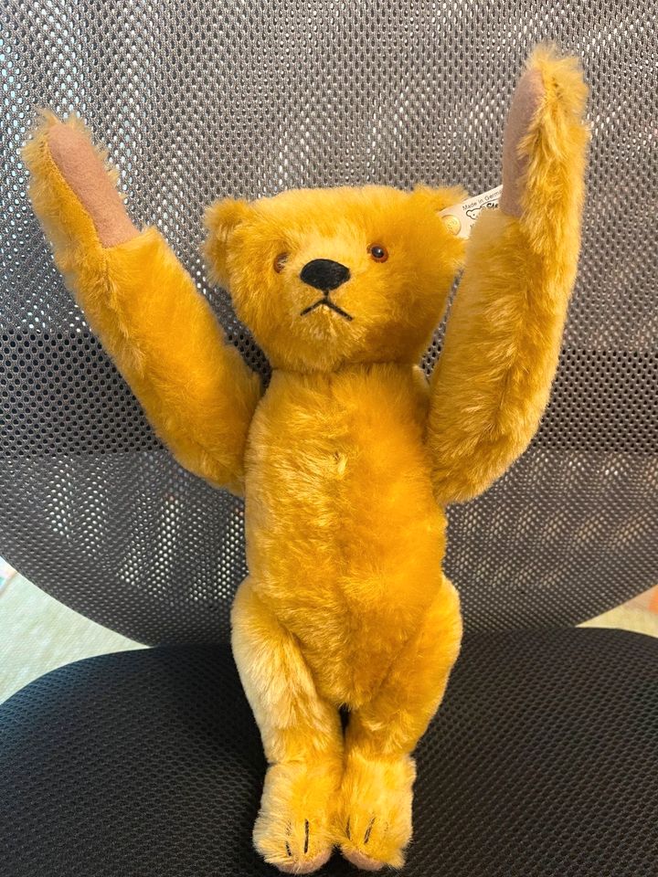 Steiff Teddybär blond 29cm in Karlsruhe