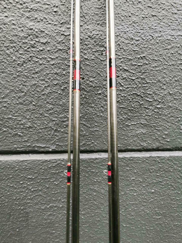 2× Sportex handbuilt Carp Karpfenruten 12ft 3lbs Carp Rods Angeln in Bad Bentheim