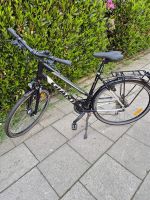 Fahrrad 28 Zoll Giant Essen - Steele Vorschau