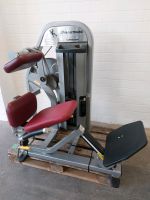 NAUTILUS NITRO PLUS LOWER BACK GYM RÜCKENSTRECKER KRAFTGERÄT 80 Nordrhein-Westfalen - Senden Vorschau