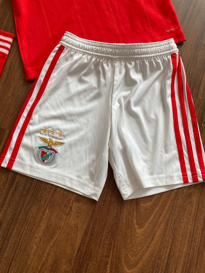 Adidas Trikot Shorts Strümpfe Set Benfica Lissabon Gr. 128 in Weibersbrunn