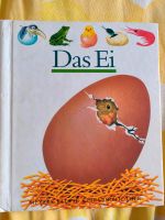 Kinder-Buch "Das Ei" - lehrreiches Bilderbuch Schleswig-Holstein - Flensburg Vorschau