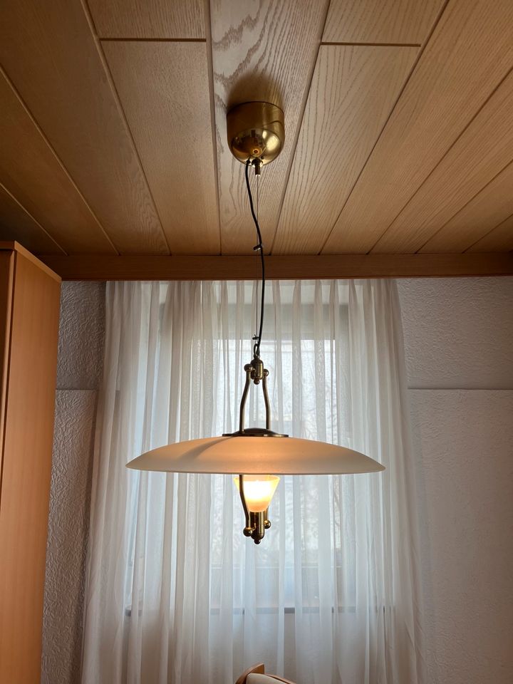 Biete Hängelampe und Deckenlampe in Osterhofen