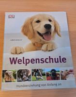 Buch Welpenschule Brandenburg - Drebkau Vorschau