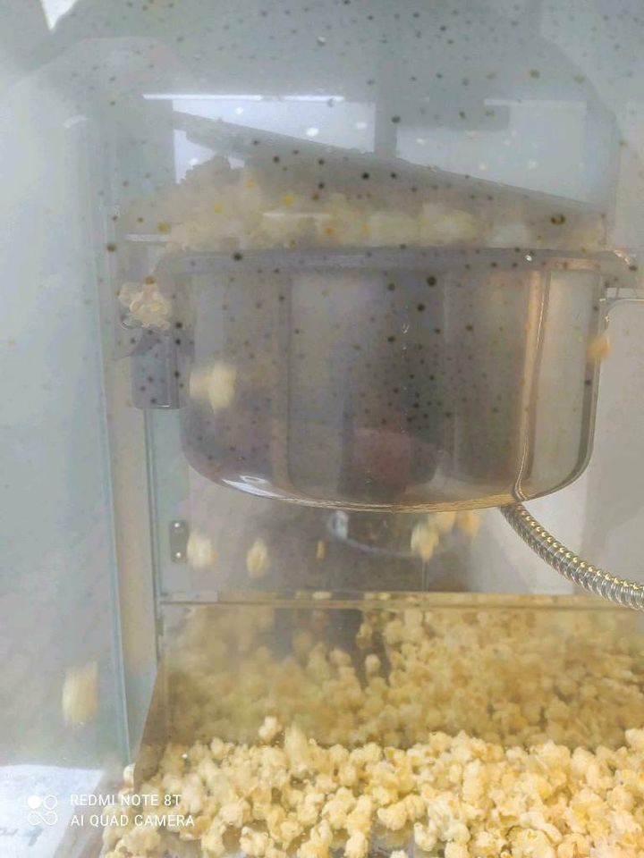 Popcornmaschine xxl mit Wagen in Röderland