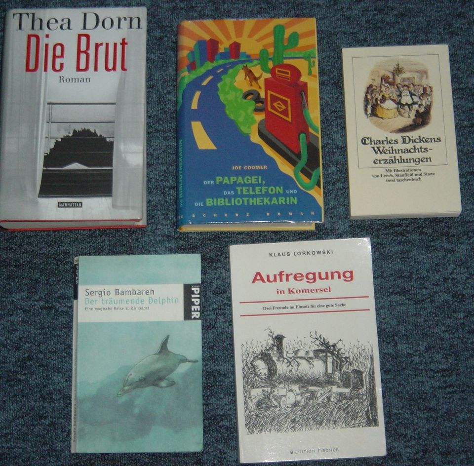 Buch-Paket Trödel 25 Bücher | Romane & Fantasy-/Sach-/Hobbythek in Gelsenkirchen