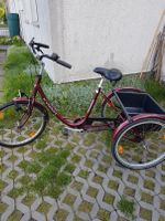 Bitte Damen Fahrradt Das 3 Rad hat 7-Gang Schleswig-Holstein - Bad Segeberg Vorschau