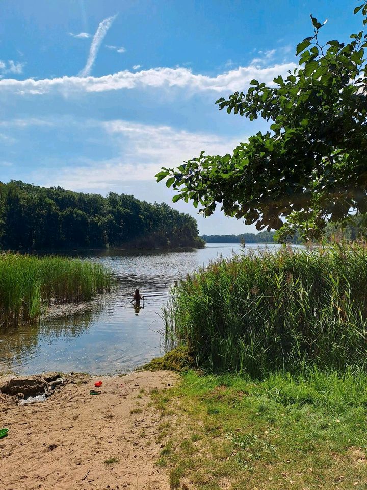 Ferienhaus in Idyllischer Waldlage in Großstadtnähe in Kloster Lehnin