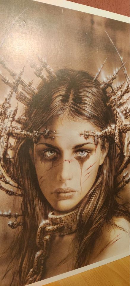 Poster Luis Royo Bild Wandbild in Leer (Ostfriesland)