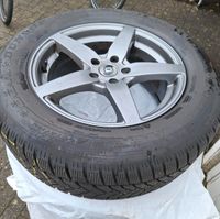 4 Winterreifen Dunlop 5 SUV 235/65 R1 Nordrhein-Westfalen - Übach-Palenberg Vorschau