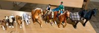 10 Original Schleich Pferde (inklusive 4 Ponys und zwei Reitern) Rheinland-Pfalz - Basberg Eifel Vorschau