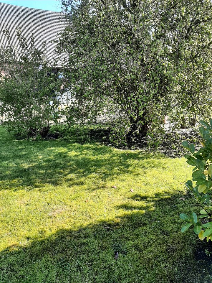 500qm Garten, idyllisch, wie Schrebergarten, Dauervermietung in Jork