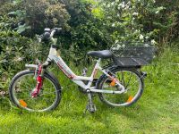 Pegasus Kinderfahrrad 17 Zoll Eimsbüttel - Hamburg Lokstedt Vorschau