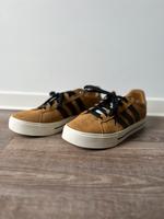 Adidas Daily 40 Herren Schuh Thüringen - Gotha Vorschau