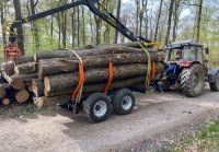 Holztransport Rückewagen Stammholz Brennholz Transport Hessen - Hofheim am Taunus Vorschau