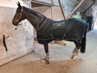 Horseware Sportz-Vibe ZX Massagedecke Hessen - Neuberg Vorschau