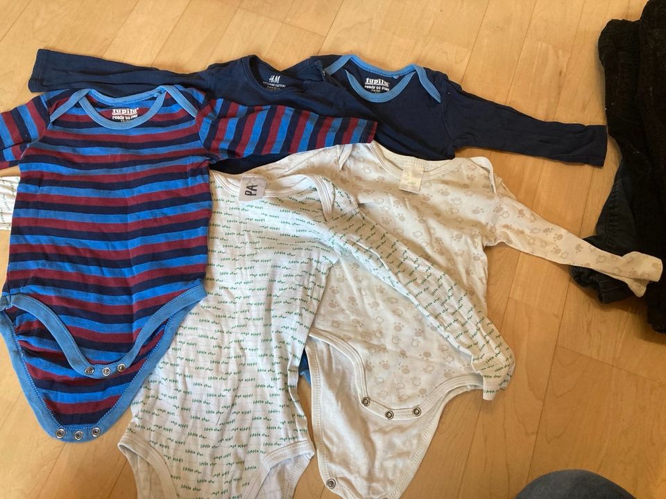 Body babybody jungs gr 74/80 Paket 5 Stück in Dissen am Teutoburger Wald