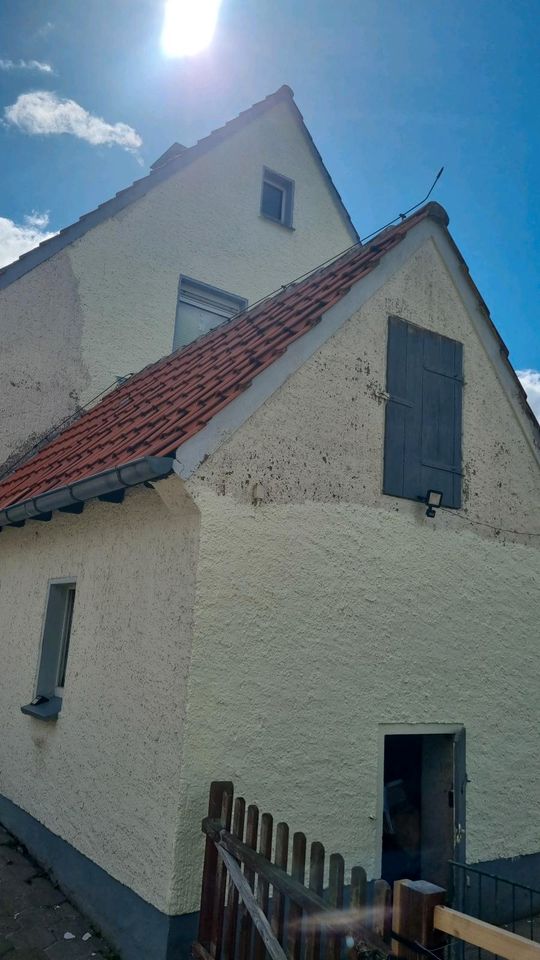Fassadenreinigung dachreinigung Pflastersteinereinigung flachdach in Langelsheim