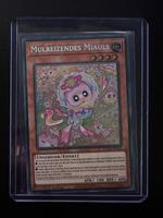Yu-Gi-Ih Mulreizendes Miauls (Secret Rare) 1.Auflage Deutsch Münster (Westfalen) - Amelsbüren Vorschau