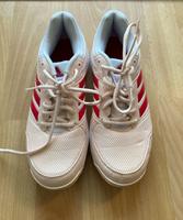 Non-Marking Sportschuhe Gr. 40 Sachsen - Löbau Vorschau