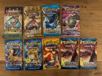 Pokemon Booster Evolutions Flashfire Stormfront Platin *LEER* Baden-Württemberg - Sinsheim Vorschau