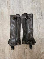 STEEDS CHAPS Gr. S braun incl. Versand 12 Euro Kunstleder  Pferde Nordrhein-Westfalen - Bornheim Vorschau