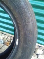 205/65R16 C 107/105T Hankook Sommerreifen VWT5/6 Schleswig-Holstein - Groß Offenseth-Aspern Vorschau