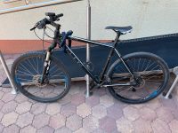 Cube 29 Zoll - Herren Fahrrad - Mountainbike Baden-Württemberg - Bruchsal Vorschau