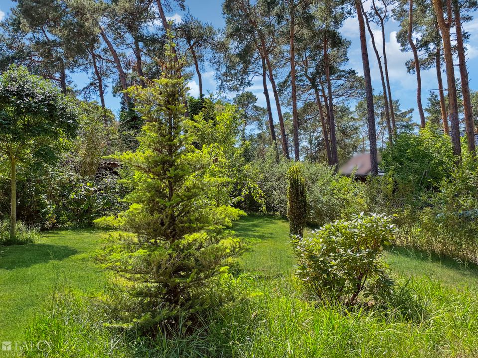 Energieeffizienter Bungalow in direkter Seenähe! in Zernsdorf