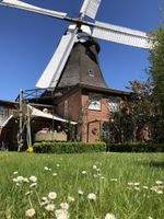 Historische Windmühle, zwei bezugsfertige gepflegte Wohnungen, 3700m² sehr gepflegter Garten Nordfriesland - Bargum Vorschau
