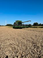 Mähdrescher Dreschen Getreide Sonderkulturen Schleswig-Holstein - Quarnstedt bei Wrist Vorschau