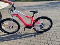 Fahrrad E-bike für Frauen Thüringen - Oberdorla Vorschau