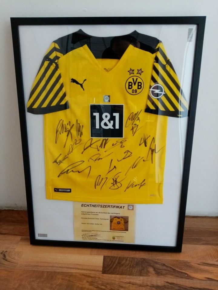 BVB Trikot 2010/2011 Teamsigniert Dortmund COA Neu Kappa L in Lünen