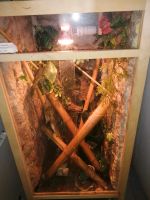 Osb Terrarium 120x60x60 Nordrhein-Westfalen - Warendorf Vorschau