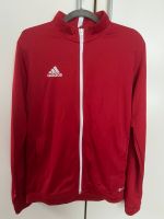 Adidas Trainingsjacke NEU Bayern - Maxhütte-Haidhof Vorschau