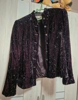 Blazer Größe 38 Niedersachsen - Adendorf Vorschau
