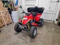 Quad Sachs Quads-4 Rock 250 Motorrad Sachsen - Chemnitz Vorschau