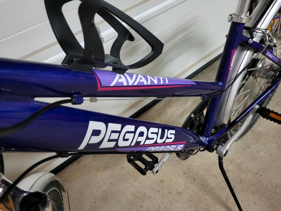 Pegasus Avanti 26" in Eime