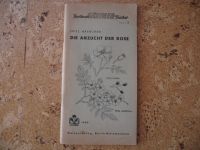 Die Anzucht der Rose von Fritz Haenchen - 1955 Bayern - Lichtenfels Vorschau