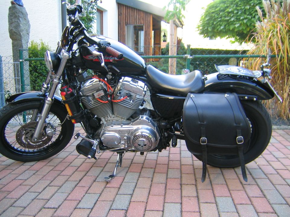 Harley Sportster 883/1200 in Weiden (Oberpfalz)