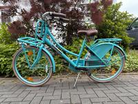 Popal Hollandrad 24er Fahrrad Lastenrad Nordrhein-Westfalen - Hamm Vorschau