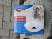 Trixie Trinkbrunnen Katzen Brandenburg - Bad Freienwalde Vorschau