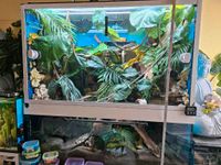 240L Terrarium/Aquaterrarium/Paludarium/Nagarium Hessen - Reinhardshagen Vorschau