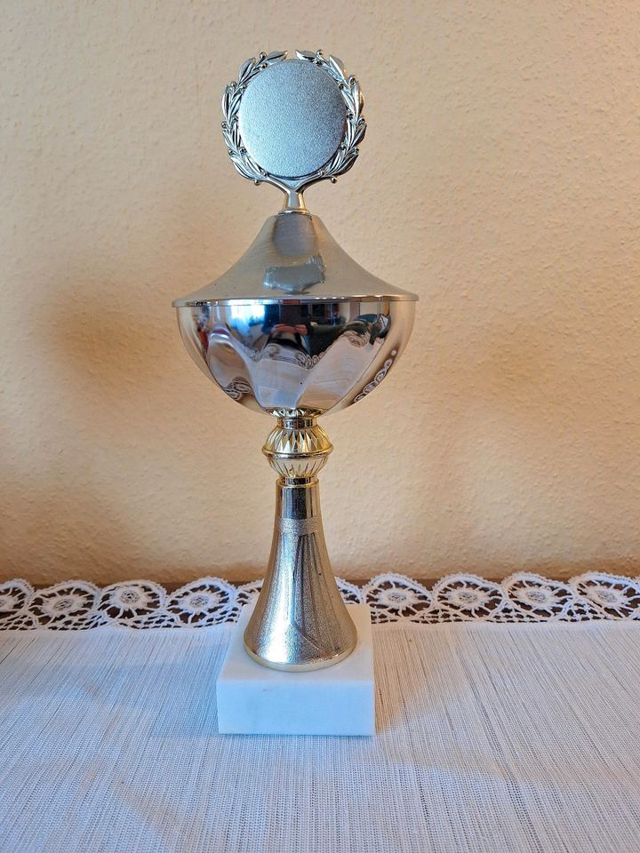 Pokal Dartpokal in Naila