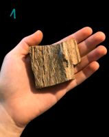 Versteinertes Holz (Mineralien und Edelsteine) Pro Stück 5 € Kiel - Gaarden Vorschau