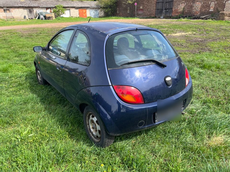 Ford Ka in Rangsdorf