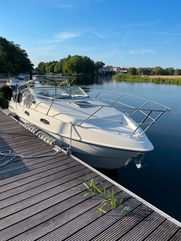 Sealine S23 Diesel 2002 Bugstrahlruder legal Trailerbar! in Burgwedel