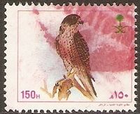 Saudi-Arabien 1139 ° Greifvögel - Wanderfalke - schnellstes Tier Nordrhein-Westfalen - Kamen Vorschau